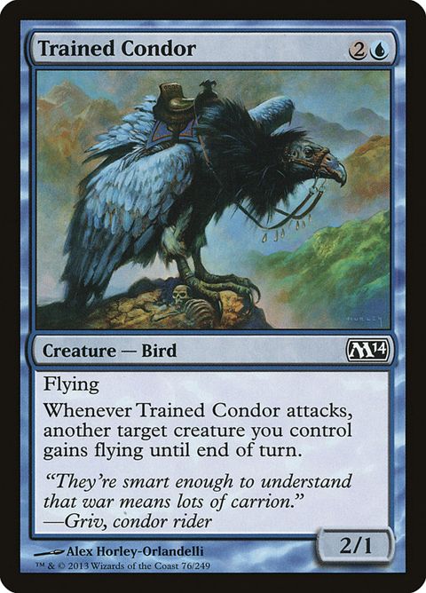76-trainedcondor