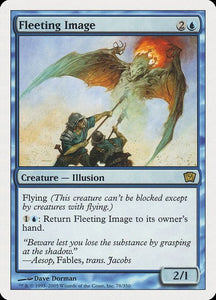 78-fleetingimage