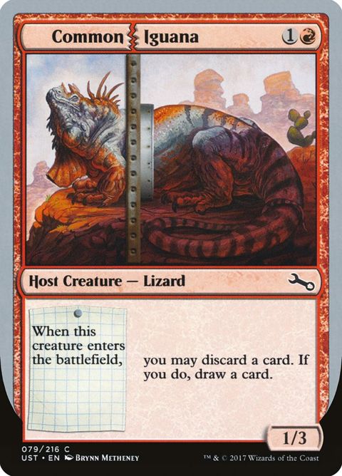 79-commoniguana