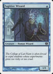 80-fugitivewizard