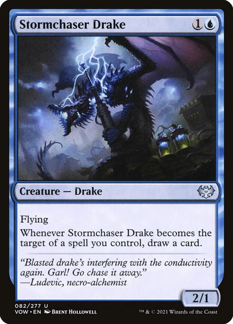 82-stormchaserdrake