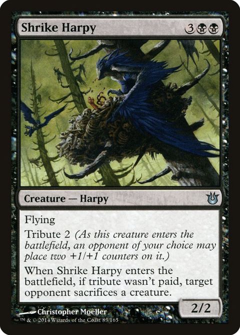 83-shrikeharpy