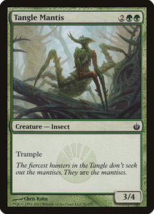 91-tanglemantis