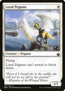 97-loyalpegasus